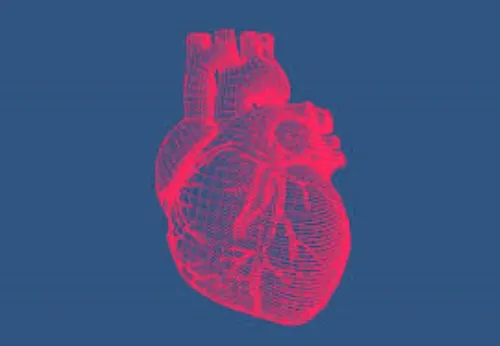 photo: Heart tonic - dm - ára - rendelés - vásárlás - árgép - hogyan kell bevenni - hol kapható - rossmann - gyógyszertár